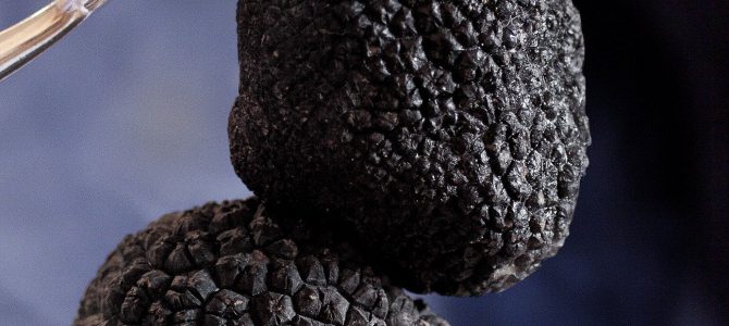 El Museo de la Trufa de Metauten estrena horarios desde el 4 de junio